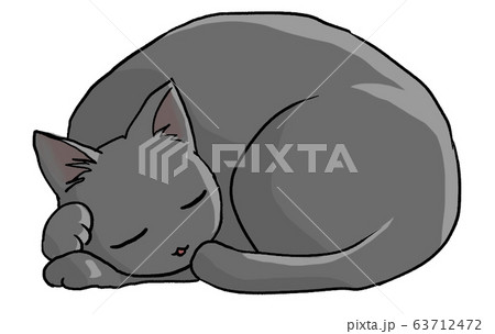 丸くなって眠る猫 ロシアンブルー のイラスト素材