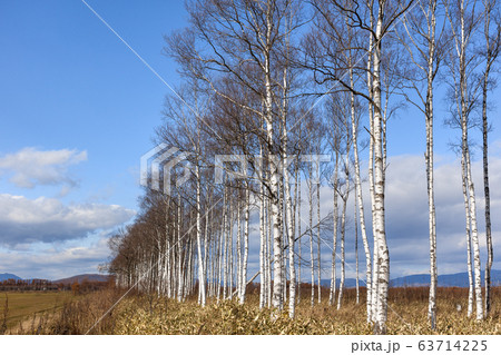 日本の北海道東部・上士幌町付近、秋の風景 63714225