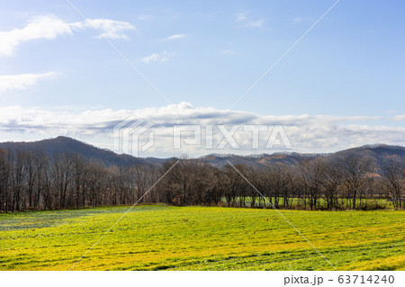 日本の北海道東部・上士幌町付近、秋の風景 日本の北海道東部・上士幌町付近、秋の風景 63714240