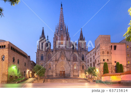 Barcelona Cathedral in the morning, Spain 63715614