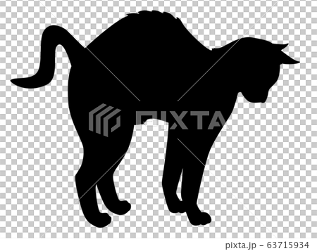 【猫シルエット】動物　猫　背伸び 63715934