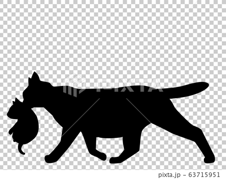 猫シルエット 動物 猫 子猫を運ぶ 親子のイラスト素材