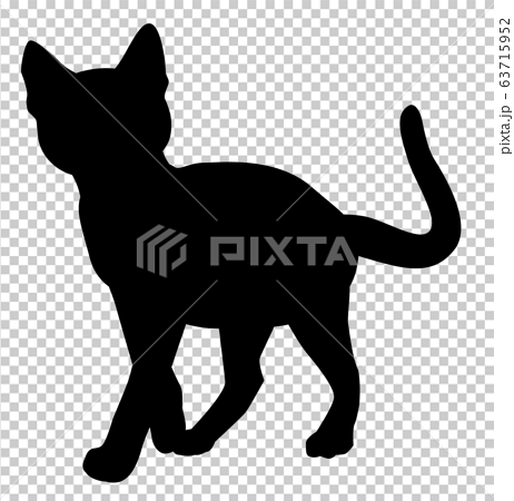 cat and dog silhouette transparent