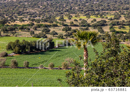 the green countryside the green countryside 63716881