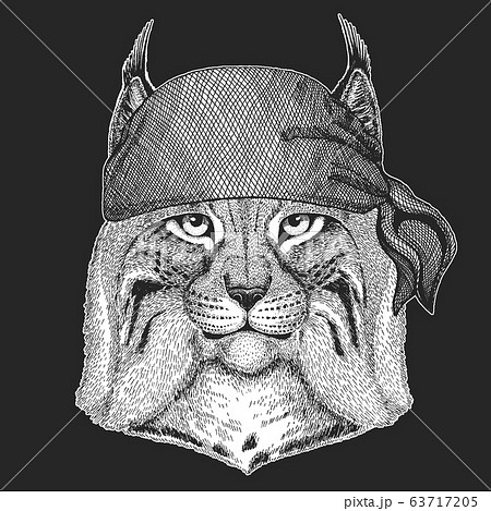 Lynx, bobcat, trot portrait. Bandana. Biker, pirate. Head of wild cat. Animal face. 63717205