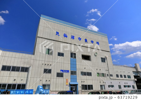 【福島県】晴天下の気仙沼魚市場 【福島県】晴天下の気仙沼魚市場 63719229