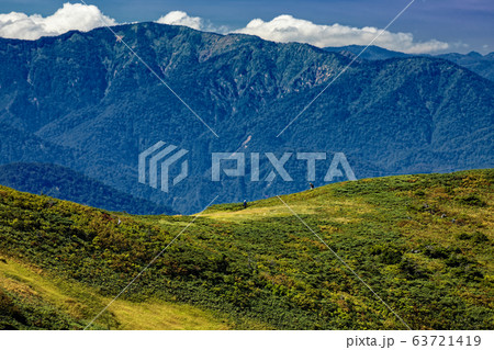 巻機山・牛ヶ岳稜線から見る割引岳への登山道を行くハイカー 巻機山・牛ヶ岳稜線から見る割引岳への登山道を行くハイカー 63721419