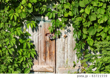 Old wooden door with vintage rusty metal lock and Old wooden door with vintage rusty metal lock and 63721559