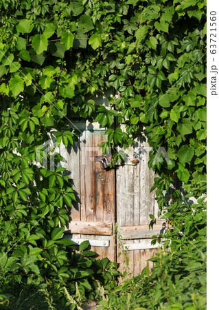 Old wooden door with vintage rusty metal lock and Old wooden door with vintage rusty metal lock and 63721560