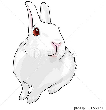 うさぎ絵 浮世絵のウサギたちをご紹介します｜太田記念美術館