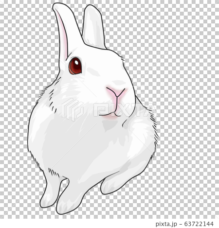 うさぎ絵 うさぎのイラスト素材 [63722144] - PIXTA