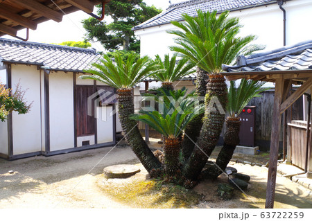 萩市旧菊屋家の中庭の景色 萩市旧菊屋家の中庭の景色 63722259