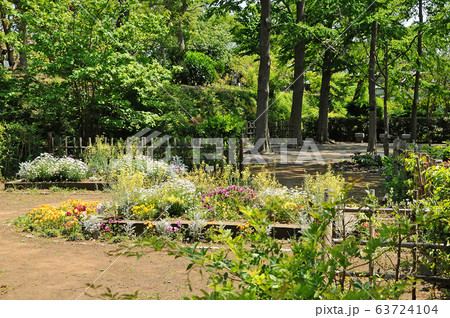 横浜市児童遊園地　横浜市保土ヶ谷区 63724104