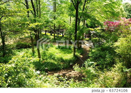 横浜市児童遊園地 横浜市保土ヶ谷区 横浜市児童遊園地 横浜市保土ヶ谷区 63724106