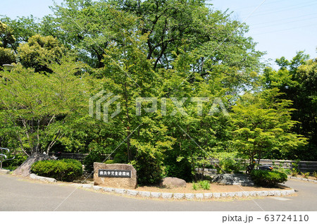 横浜市児童遊園地 横浜市保土ヶ谷区 横浜市児童遊園地 横浜市保土ヶ谷区 63724110