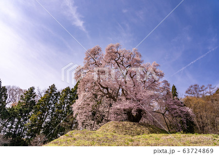 福島県 川俣町 秋山の駒ザクラ 福島県 川俣町 秋山の駒ザクラ 63724869