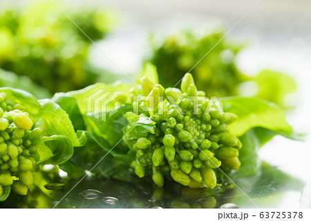 春野菜のなばなのイメージ写真 春野菜のなばなのイメージ写真 63725378