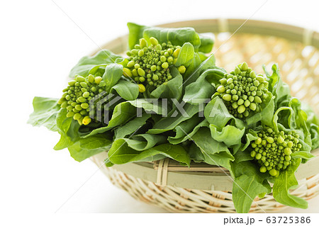 春野菜のなばなのイメージ写真 63725386