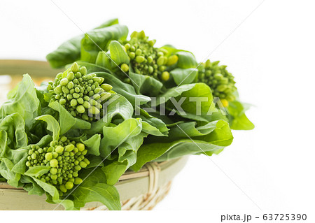 春野菜のなばなのイメージ写真 63725390