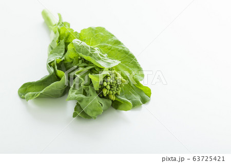 春野菜のなばなのイメージ写真 63725421