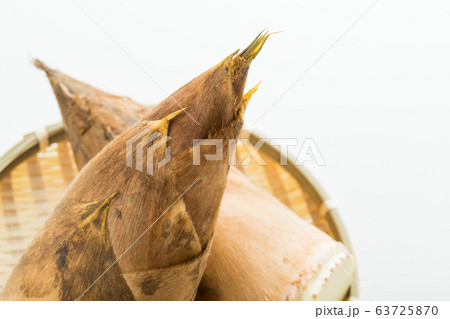 春の味覚、合馬のたけのこ 北九州市小倉南区名産 春の味覚、合馬のたけのこ 北九州市小倉南区名産 63725870