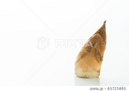 春の味覚、合馬のたけのこ 北九州市小倉南区名産 春の味覚、合馬のたけのこ 北九州市小倉南区名産 63725893