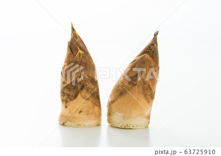 春の味覚、合馬のたけのこ　北九州市小倉南区名産 63725910