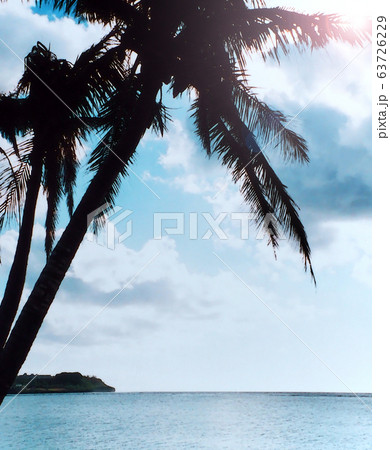 海の風景 イラスト素材 ヤシの木のイラスト素材 海の風景 イラスト素材 ヤシの木のイラスト素材