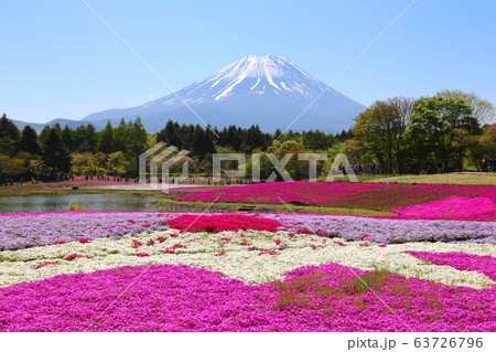 富士芝桜まつり 富士芝桜まつり 63726796