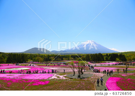 富士芝桜まつり 63726850