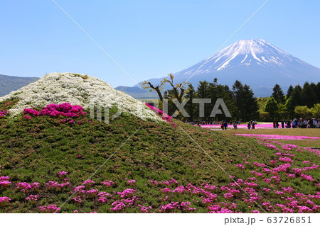 富士芝桜まつり 富士芝桜まつり 63726851