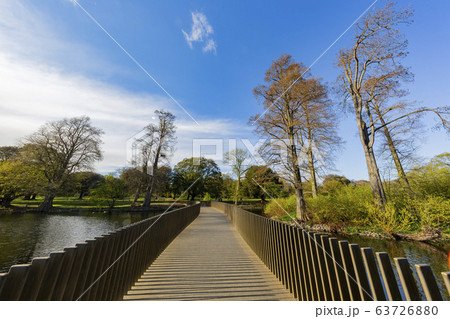 The beautiful Sackler Crossing of the Kew Garden 63726880
