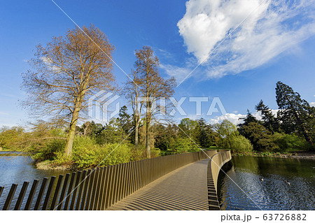 The beautiful Sackler Crossing of the Kew Garden 63726882