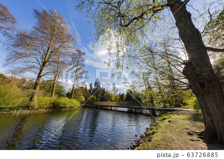 The beautiful natural landscape of the Kew Garden The beautiful natural landscape of the Kew Garden 63726885