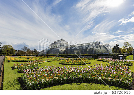 The beautiful Palm House of the Kew Garden The beautiful Palm House of the Kew Garden 63726919