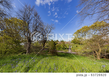 The beautiful natural landscape of the Kew Garden 63726920