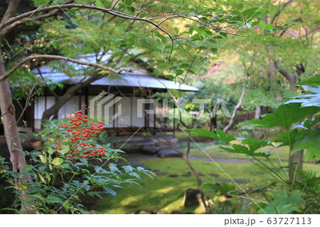 晩秋の旧古河庭園内の日本庭園にひっそりたたずむ茶室 晩秋の旧古河庭園内の日本庭園にひっそりたたずむ茶室 63727113