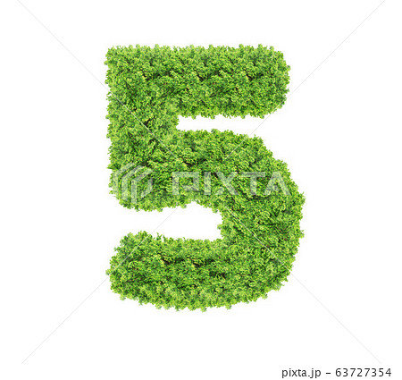 Grass number Five isolated on white background. Grass number Five isolated on white background. 63727354