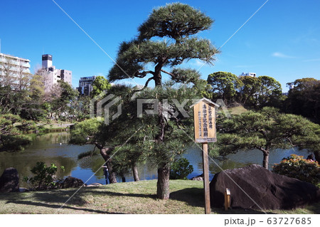 清澄庭園　高松宮記念植樹 63727685