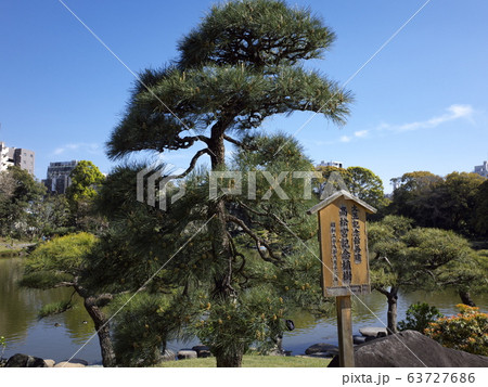 清澄庭園　高松宮記念植樹 63727686