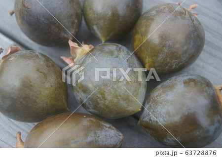 黒柿　収穫 63728876