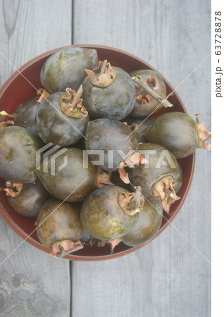 黒柿 どっさり収穫 黒柿 どっさり収穫 63728878