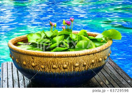 パタヤ バンコク リゾート 63729596