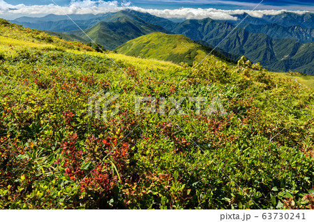 巻機山稜線の紅葉と雲湧く上越国境の山並み 63730241