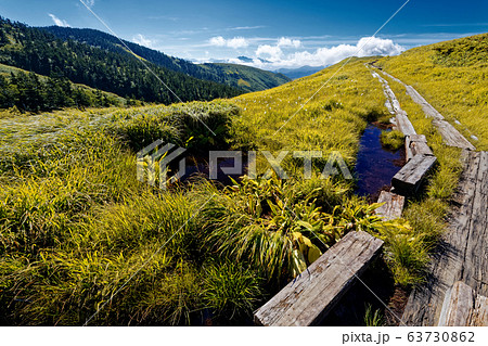 初秋の巻機山の池塘 63730862