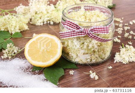 Elderberry flowers and ingredients 63731116