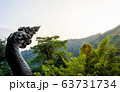 Naga statue on the fresh green nature background 63731734