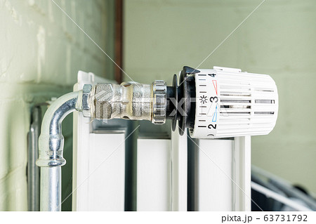 feed to the radiator 63731792