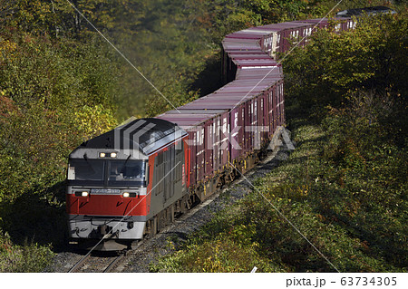 北海道　北見の玉ねぎを首都圏に運ぶ貨物列車 63734305