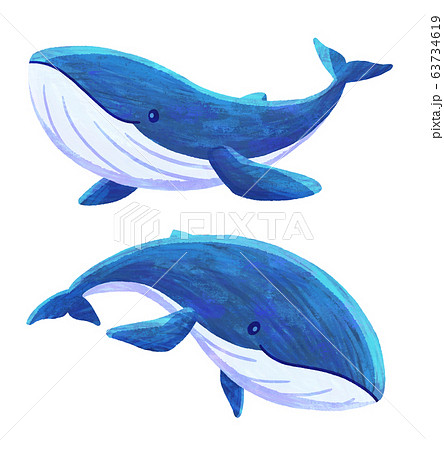 クジラ06 テクスチャ のイラスト素材 63734619 Pixta